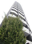 9371e56d.JPG