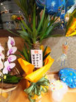 DSCF0047.JPG