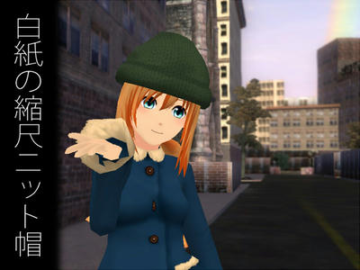 ss_2012_1_17_22_53_32.jpg