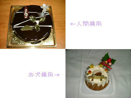 20051224-2.jpg