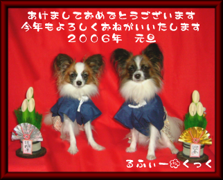 20060101-1.png