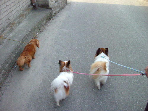 20060421214435.jpg