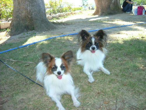 20051018-2.jpg