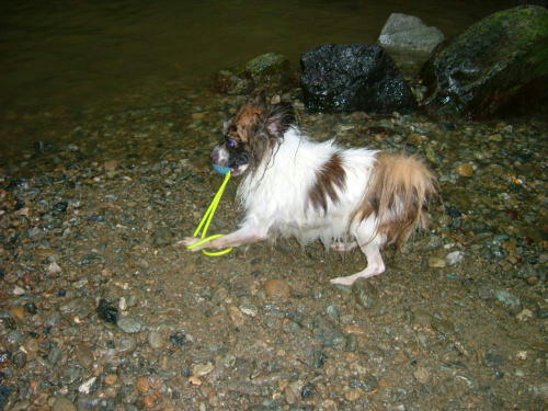 20050820-1.jpg