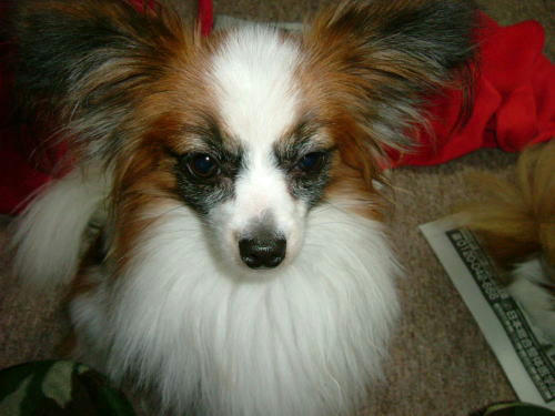 20090527001.jpg