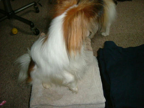 20060414163528.jpg