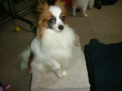 20060414163539.jpg