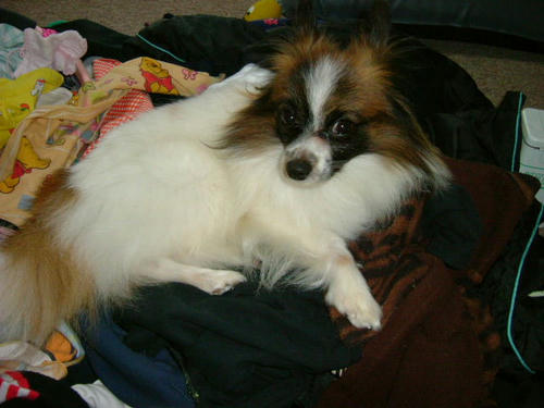 20060414163558.jpg