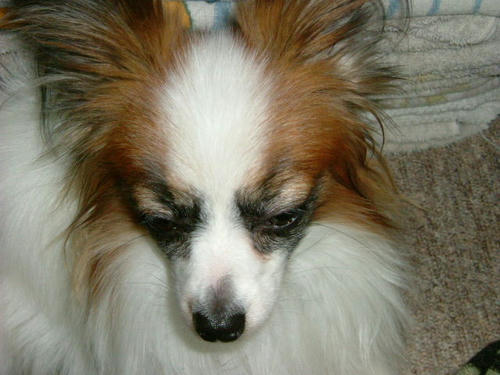 20060414163618.jpg