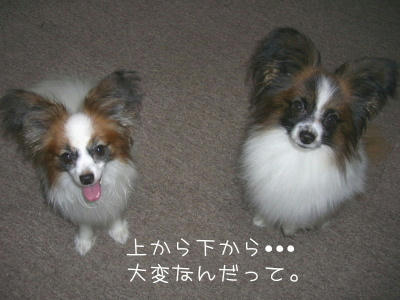 2006_6_30.jpg