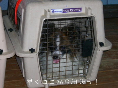 20060626205936.jpg