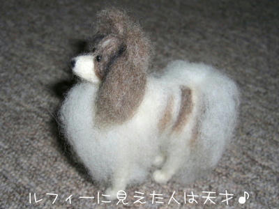 20060624225639.jpg