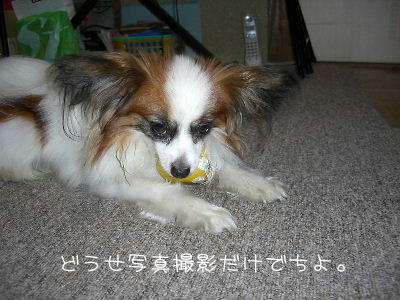 20060615174830.jpg