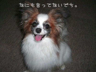 20060615174901.jpg