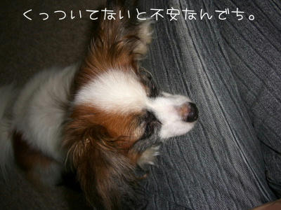 2006_7_1.jpg