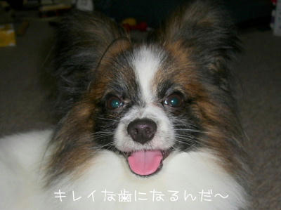 20060705215205.jpg