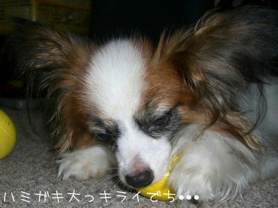 20060705215231.jpg