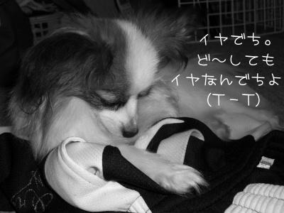 20060705215305.jpg
