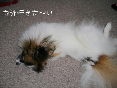 20060720221601.jpg