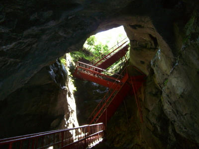 20060801000533.jpg