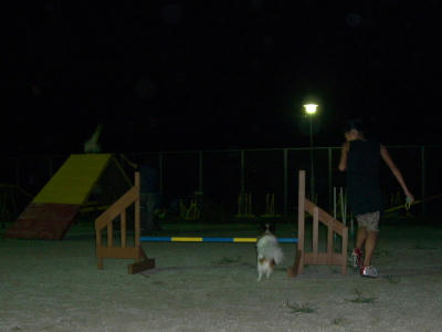 20060824002113.jpg