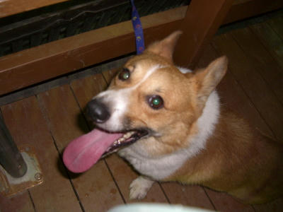 20060814005413.jpg