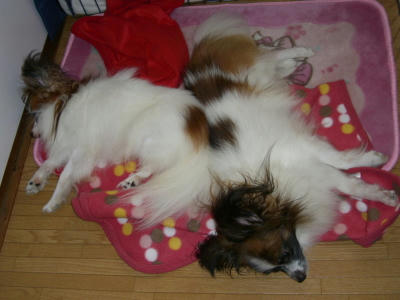 20060914173048.jpg