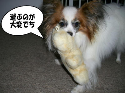 20061011211947.jpg