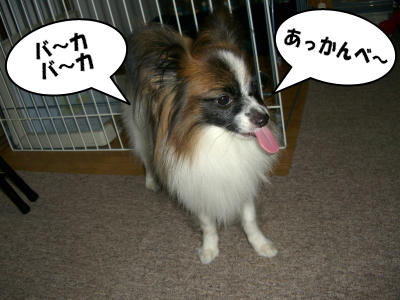 20061011212601.jpg