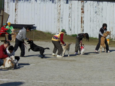 20061113221633.jpg