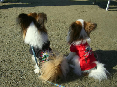 20061113222248.jpg