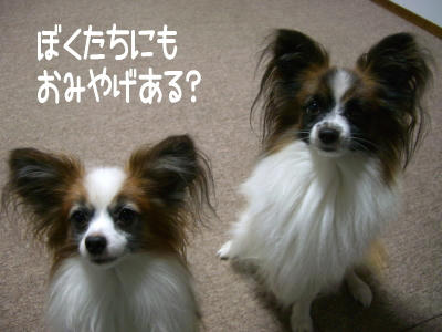 2006_12_15.jpg