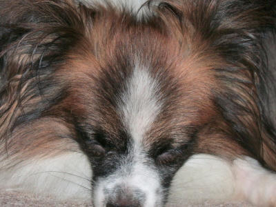 20061206231925.jpg