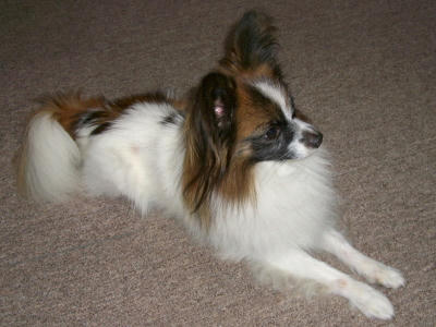 20061213221527.jpg