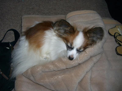 20061227215307.jpg