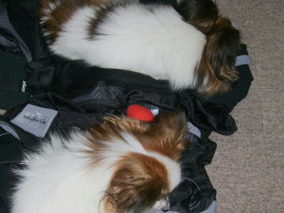 20070105233914.jpg