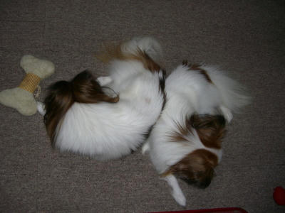20070112225357.jpg