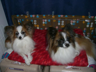 20070112225522.jpg