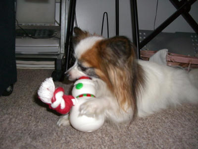 20070121004240.jpg