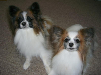20070124224801.jpg