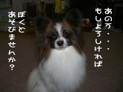 20070130175316.jpg