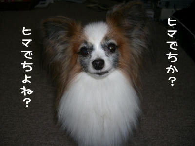 20070130175343.jpg