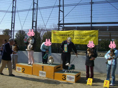 20070326233250.jpg