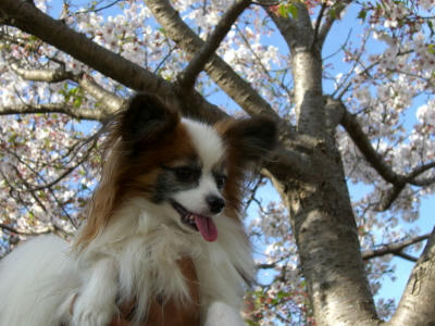 20070405214053.jpg