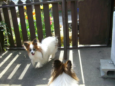 20070420230832.jpg
