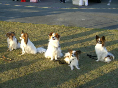 20070430003536.jpg