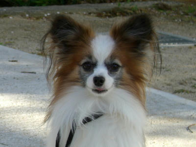 3歳になったんでち♪