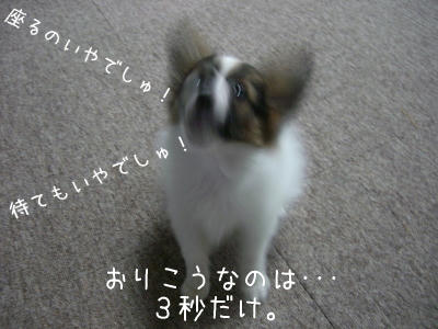 まだでしゅか〜〜〜!!!