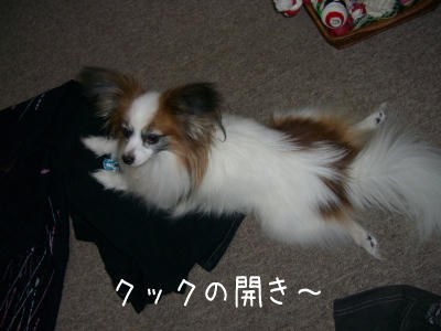聞いてるか???