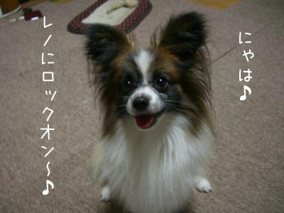 遊ぼうぜぃ♪
